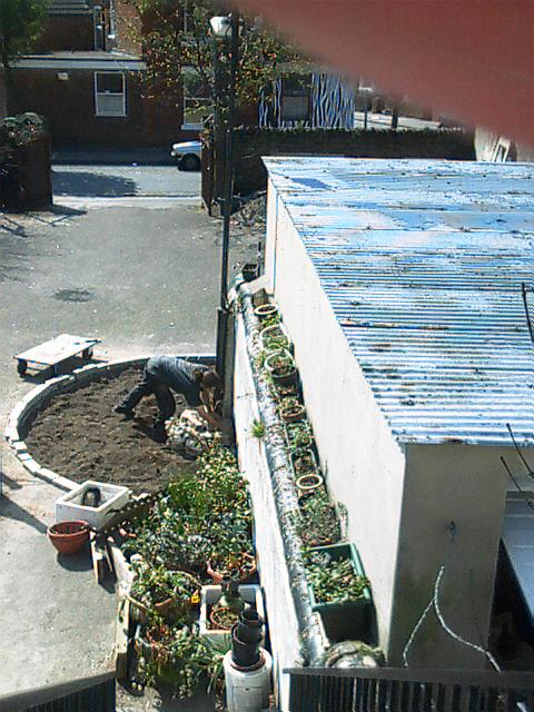 THE GARDEN